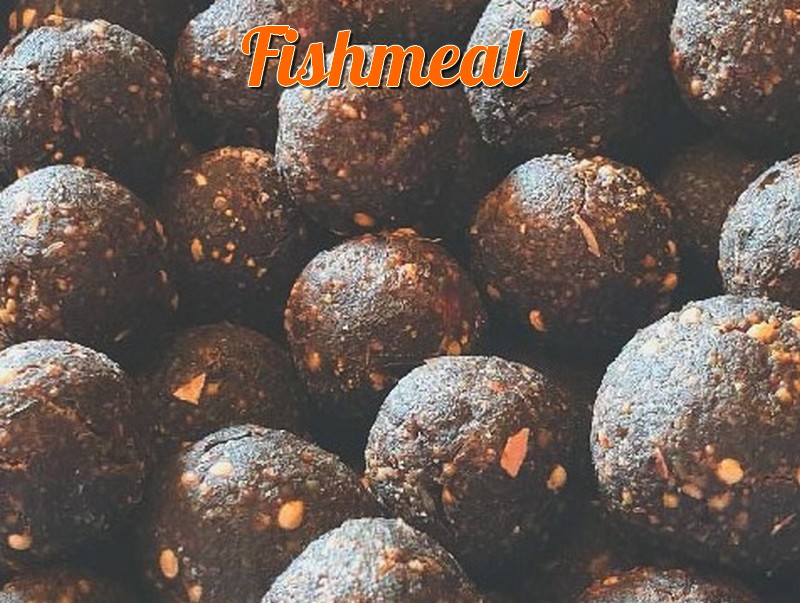 10kgs High Protein Boilies – Fishmeal – 20mm – Fishing Thailand .Org